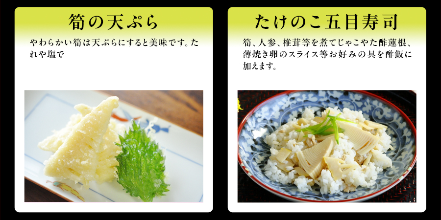 筍の天ぷら　やわらかい筍は天ぷらにすると美味です。たれや塩で　たけのこ五目寿司　筍、人参、椎茸等を煮てじゃこやた酢蓮根、薄焼き卵のスライス等お好みの具を酢飯に加えます。