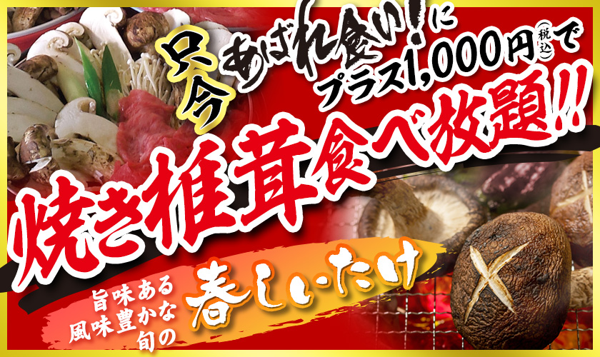 只今あばれ食いにプラス1000（税込）で　椎茸食べ放題　旨味ある風味豊かな旬の春しいたけ