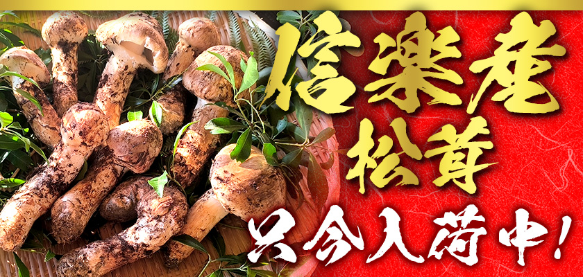 和歌山松茸 新鮮朝市 込み込み 316㌘ 和歌山松茸 新鮮朝市 込み込み