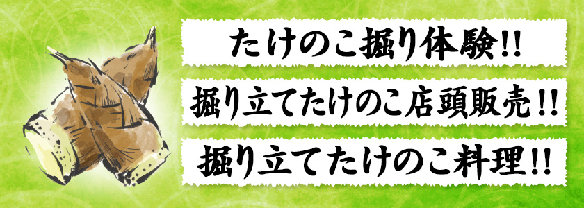 たけのこ堀り体験　掘り立てたけのこ店頭販売　掘り立てたけのこ料理