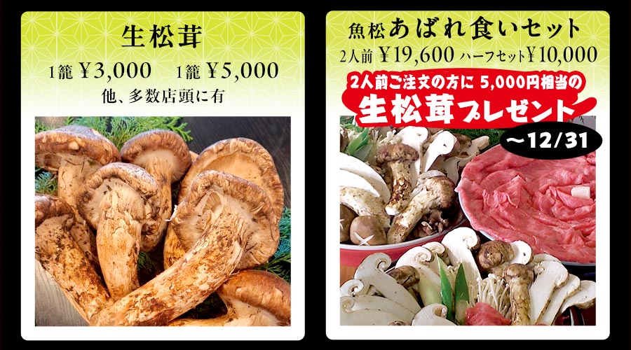 生松茸　1籠3,000円　1籠5,000円　他、多数店舗にあり　魚松あばれ食いセット　2人前￥19,600　ハーフセット￥10,000　2人前ご注文の方に5,000円相当の生松茸プレゼント　〜12／31