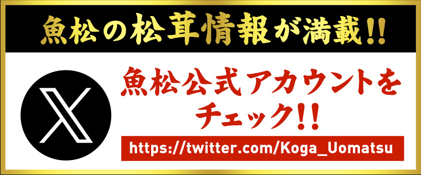 魚松の松茸情報が満載！　魚松公式アカウントをチェック！！ 